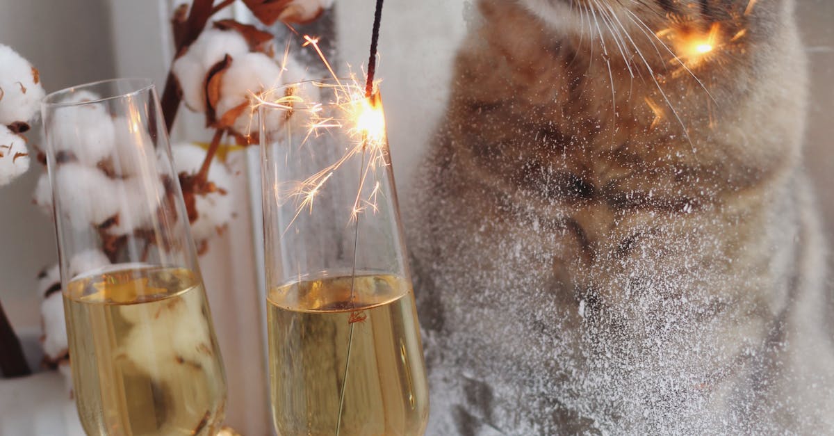 Double Glazed Windows: A Sustainable Choice for Homeowners