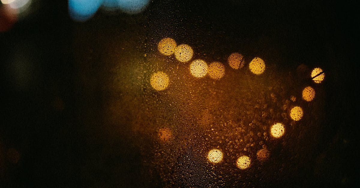 Energy-Efficient Windows: A Guide to Local Regulations and Compliance