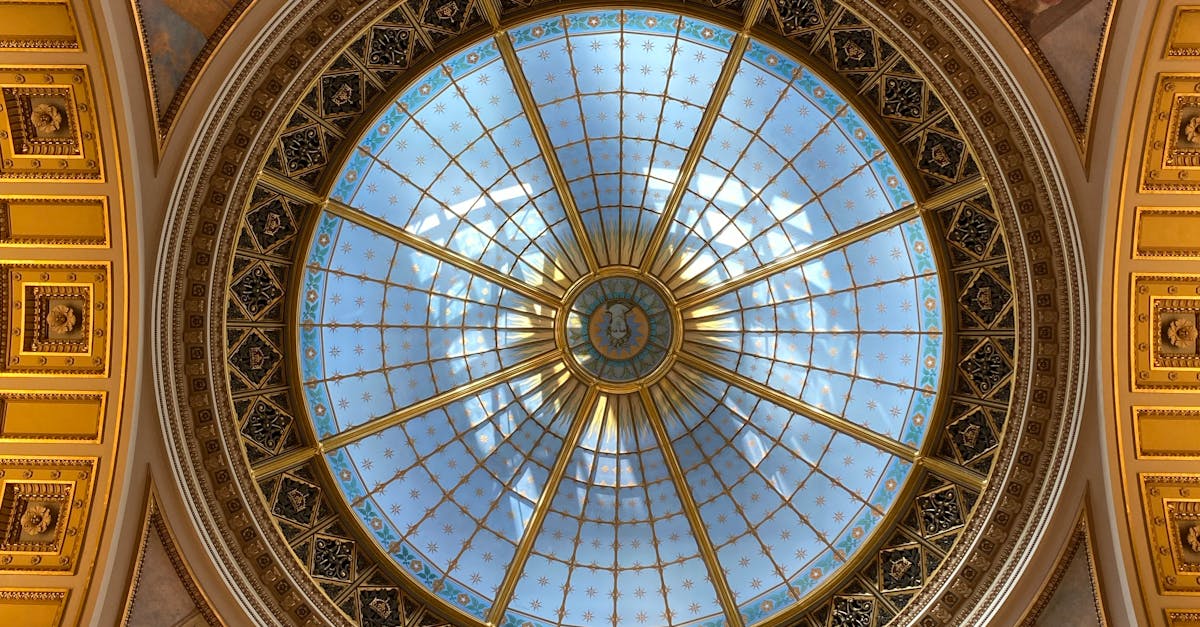 How to Inspect Your Windows for Damage