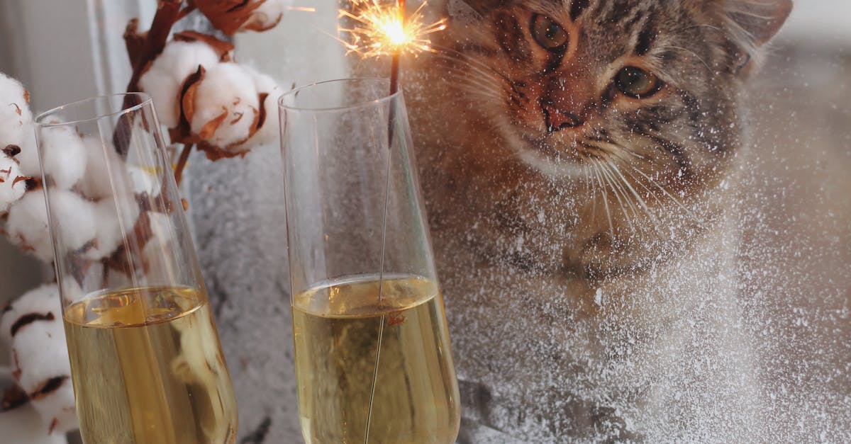 The Importance of Hiring Licensed Glass Repair Technicians